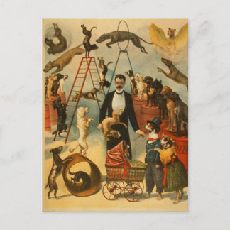 Canine Circus - Briefkaart #1