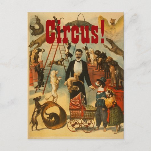 Canine Circus - Carte postale #2 (Devant)