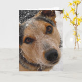 Canine Vet Afstuderen Gefeliciteerd Afstuderen Kaart (Gele Bloem)