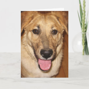 Canine Vet Afstuderen Gefeliciteerd met Afstuderen Kaart