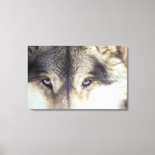 Canis Lupus Canvas Afdruk (Voorkant)