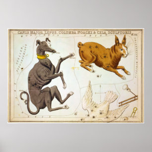 Canis Major, Lepus, Columba Noachi en Cela Sculpto Poster