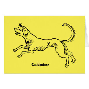 Canis Minor, 1482