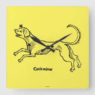 Canis Minor, 1482 Vierkante Klok