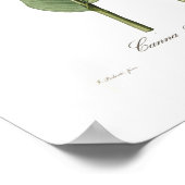 Canna gigantea poster (Hoek)