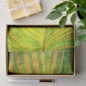 Canna Leaf Green Tissuepapier (Geschenk)