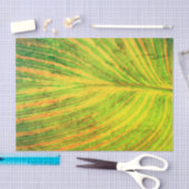 Canna Leaf Green Tissuepapier (Craft)