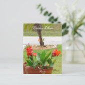 Canna Lilies fleurs florida Carte postale (Debout devant)
