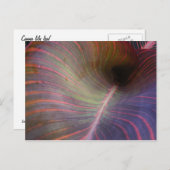 Canna Lily feuille ~ carte postale (Devant / Derrière)