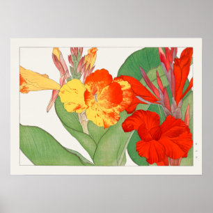 Canna Lily, Garden Flower, Konan, Natuur Poster