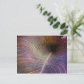 Canna Lily leaf ~ briefkaart (Staand voorkant)