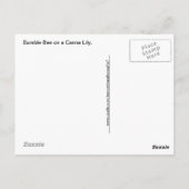 Canna Lily met Bumble Bee Briefkaart (Achterkant)