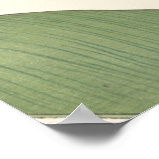 Canna Lily Poster (Hoek)