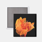 canna magneet (Voorkant / Achterkant)