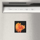 canna magneet (Insitu (Vaatwasser))