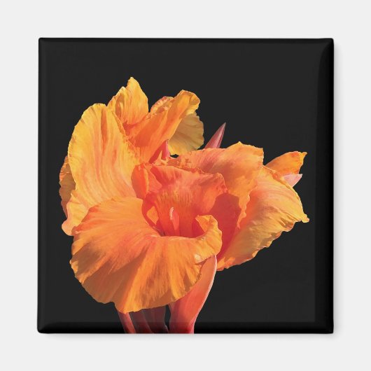 canna magneet (Voorkant)