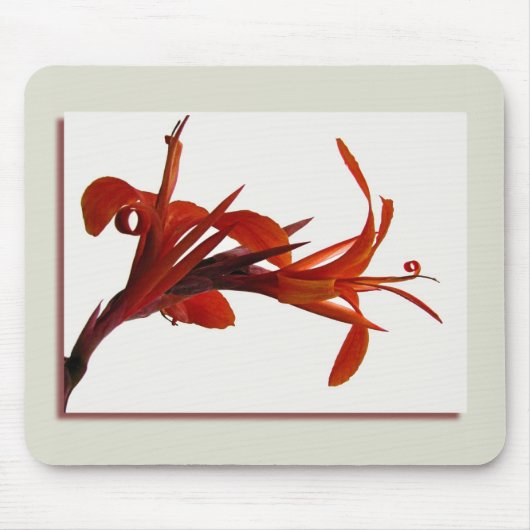 Canna Mousepad Muismat (Voorkant)