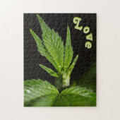 Canna Puzzle (Vertical)