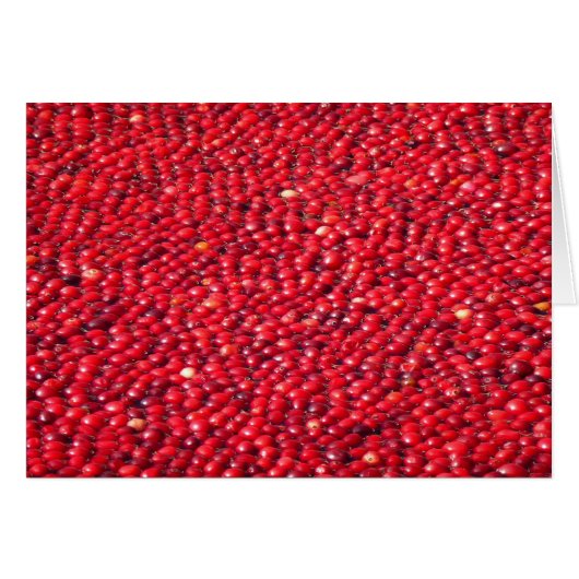 Canneberges Férié Rouge (Devant Horizontal)