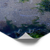 Cannon Beach Haystack Rock Low Tide Oregon Poster (Hoek)