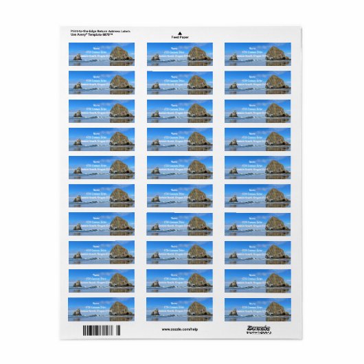 Cannon Beach Oregon Haystack Etiket (Full Sheet)