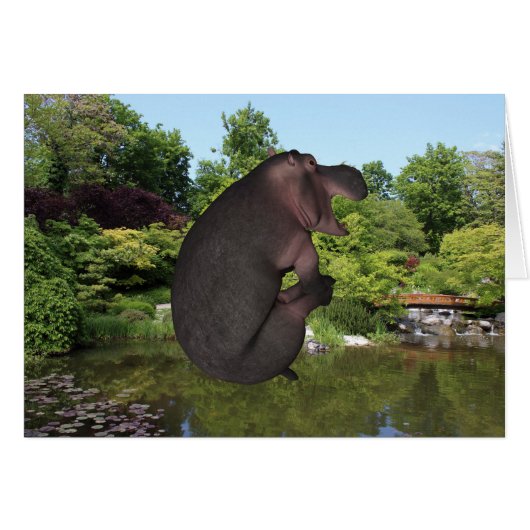 Cannonball Hippo (Voorkant Horizontaal)