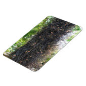 Cannonball Tree foto magneet (Linkerzijde)