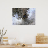 Cannonball Tree, Old Quebec City, Quebec, Canada Poster (Keuken)