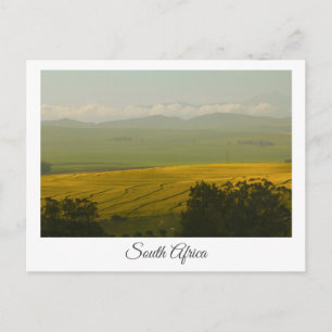 Canola Fields Afrique du Sud Paysage Carte postale
