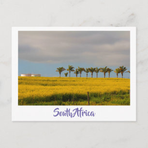 Canola Fields South Africa Landscape Briefkaart