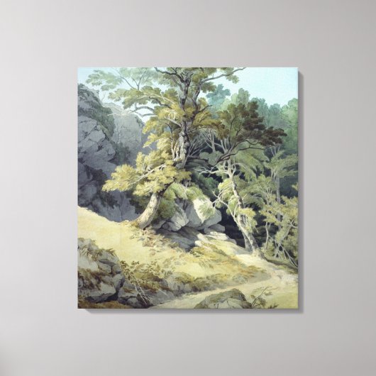 Canonteign, Devon Canvas Afdruk (Voorkant)