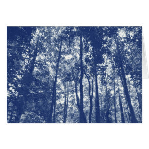 Canopée de bois - Effet Cyanotype