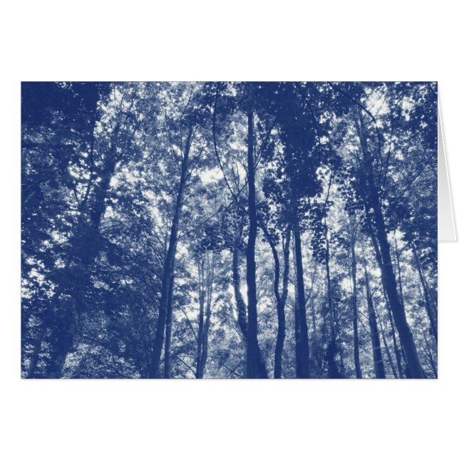 Canopée de bois - Effet Cyanotype (Devant horizontal)