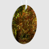 Canopée des Feuilles d'automne II Photographie d'a (devant)