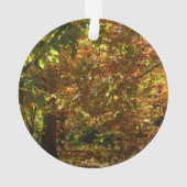 Canopée des Feuilles d'automne II Photographie d'a (dos)