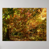 Canopy of Fall Leaves II Yellow Autumn Photography Poster (Voorkant)