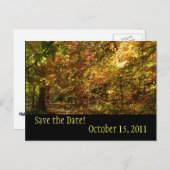 Canopy of Fall Leaves Save the Date Briefkaart (Voorkant / Achterkant)