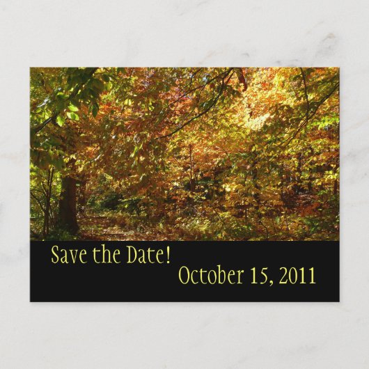 Canopy of Fall Leaves Save the Date Briefkaart (Voorkant)