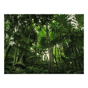 Canopy of Lushness @ Madeira Portugal Foto Foto Afdruk