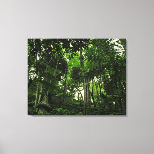 Canopy of Lushness @ Madeira Portugal Wrapped Canv Canvas Afdruk