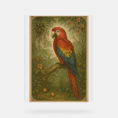 Canopy Sentinel - Le Scarlet Macaw (Recto)