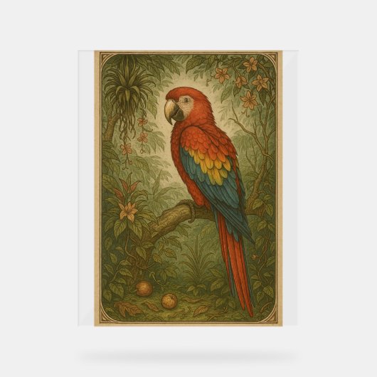 Canopy Sentinel - Le Scarlet Macaw (Recto)