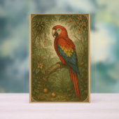 Canopy Sentinel - Le Scarlet Macaw (Neutre)
