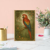 Canopy Sentinel - Le Scarlet Macaw (Mariage)