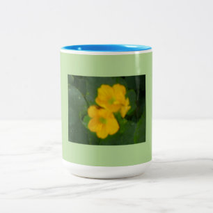 Cantaloupe Blooms Tweekleurige Koffiemok