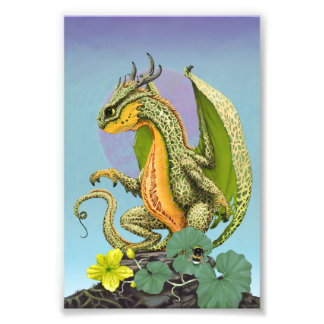 Cantaloupe Dragon 4x6 Afdrukken Foto Afdruk