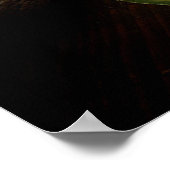 Cantaloupe Print (Hoek)