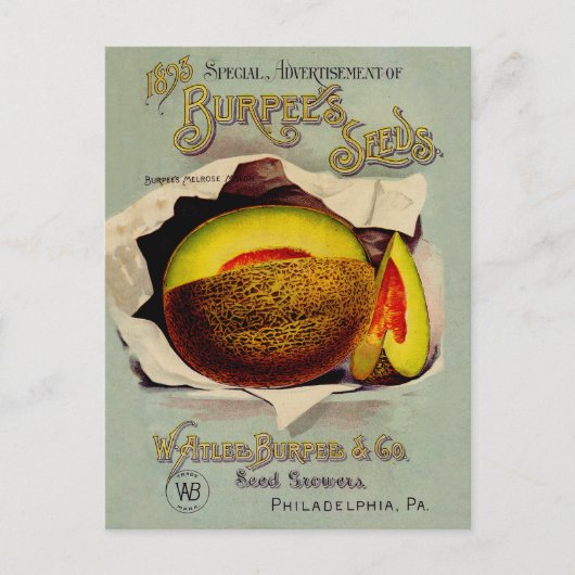 Cantaloupe Seed Adverteren Antiek Briefkaart (Voorkant)