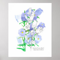 Canterbury Bells Taal van Bloemen Victoriaans