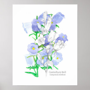 Canterbury Bells Taal van Bloemen Victoriaans Poster